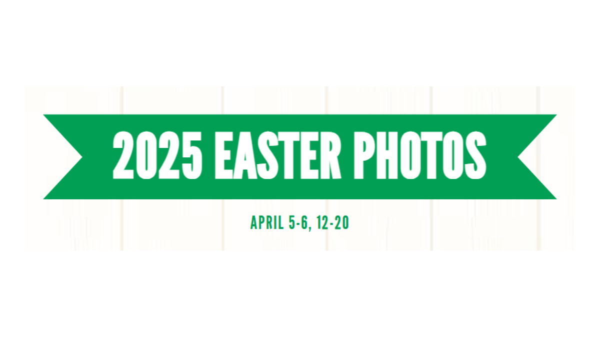 Free 4×6 Photo with the Easter Bunny at Bass Pro Shops and Cabelas